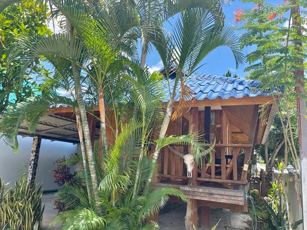 Lungsonhouse Pai Villa Ngoại thất bức ảnh