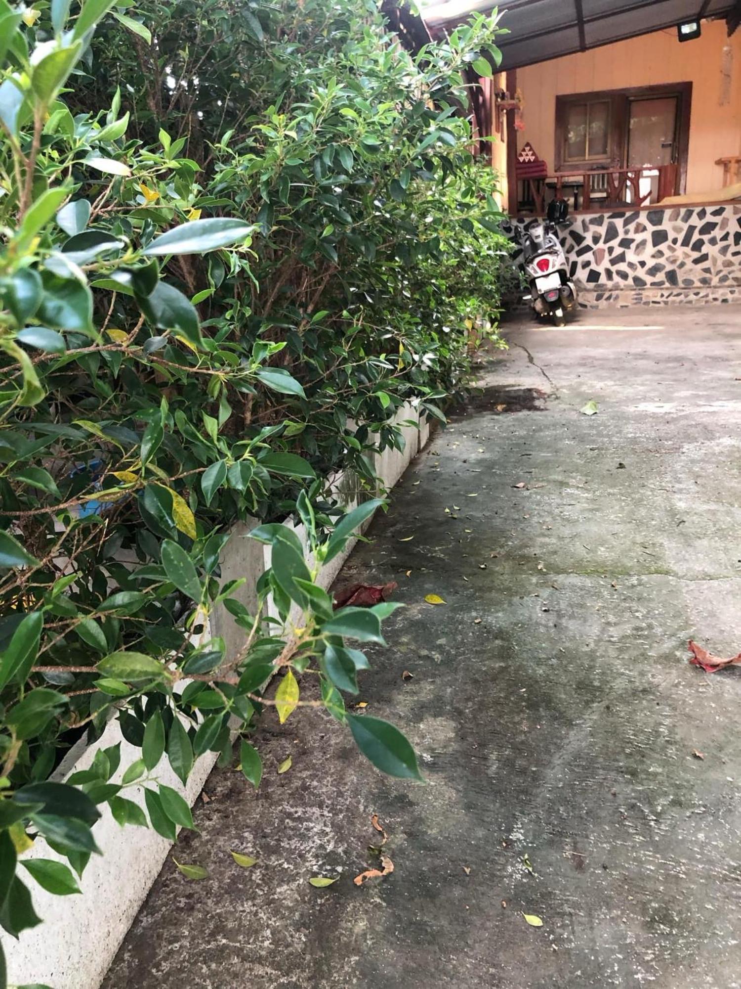 Lungsonhouse Pai Villa Ngoại thất bức ảnh