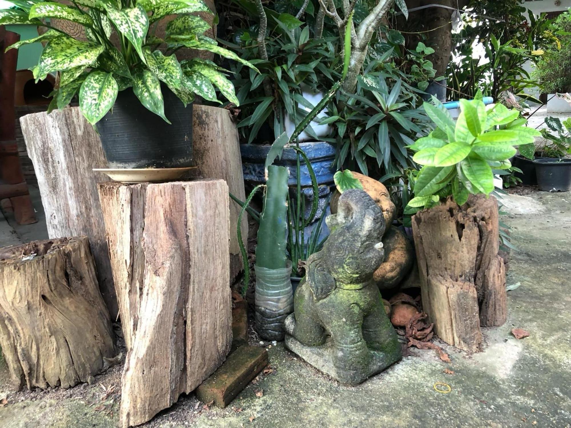Lungsonhouse Pai Villa Ngoại thất bức ảnh
