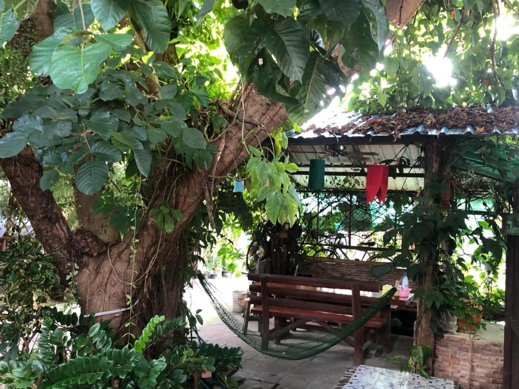 Lungsonhouse Pai Villa Ngoại thất bức ảnh